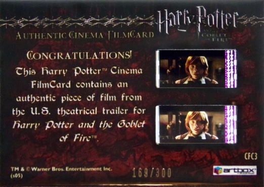 CFC3 - Dragon Breathing Fire - Back