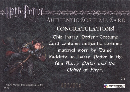 C1a - Harry Potter's First Task Robes - Back