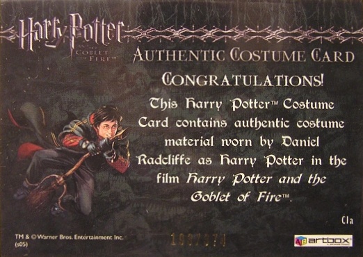 C1a - Harry Potter's First Task Robes - Back