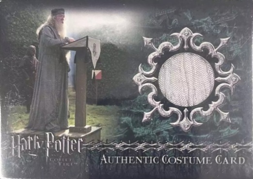 TF1 - Dumbledore's Robes - Front