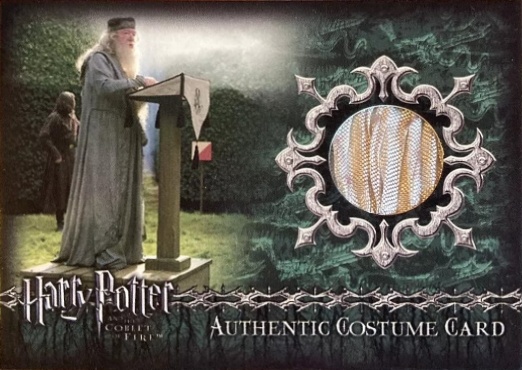 TF1 - Dumbledore's Robes - Front