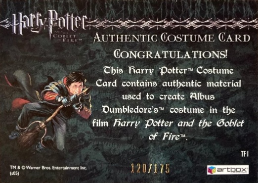 TF1 - Dumbledore's Robes - Back