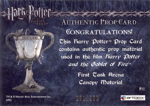 P11 - First Task Arena Canopy Material - Back