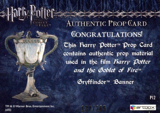 P12 - Gryffindor Banner - Back