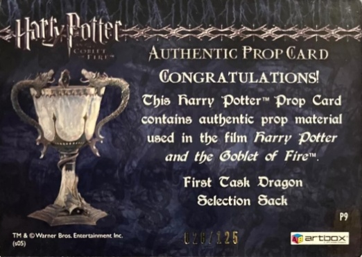 P9 - First Task Dragon Selection Sack - Back