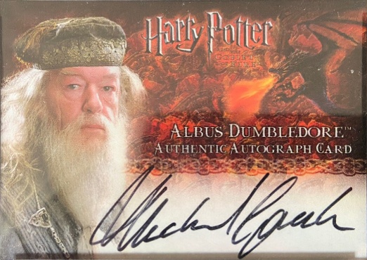 Michael Gambon as Albus Dumbledore - Front