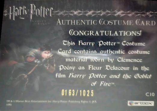 C10 - Fleur Delacour's First Task Costume - Back