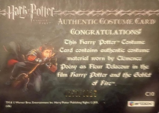 C10 - Fleur Delacour's First Task Costume - Back