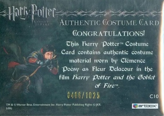 C10 - Fleur Delacour's First Task Costume - Back