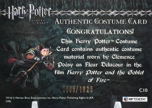 C10 - Fleur Delacour's First Task Costume - Back