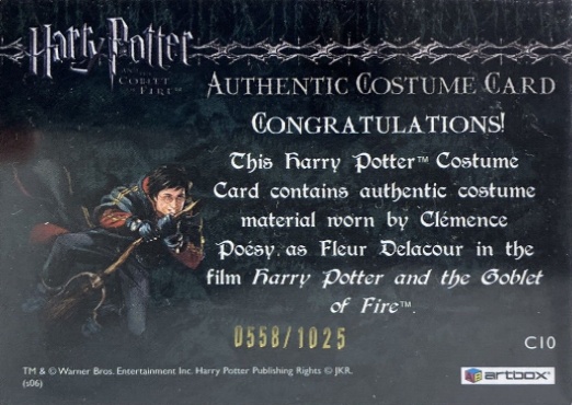 C10 - Fleur Delacour's First Task Costume - Back