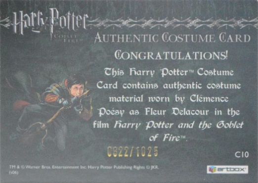 C10 - Fleur Delacour's First Task Costume - Back