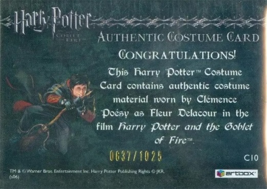 C10 - Fleur Delacour's First Task Costume - Back