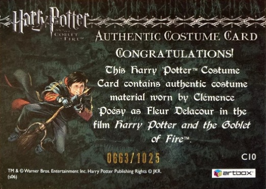 C10 - Fleur Delacour's First Task Costume - Back