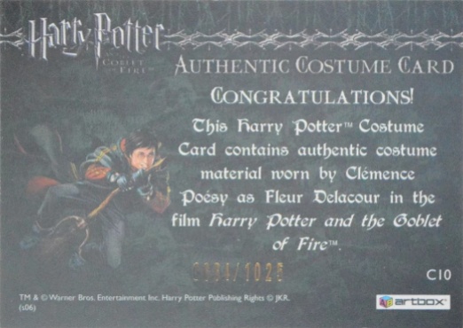 C10 - Fleur Delacour's First Task Costume - Back