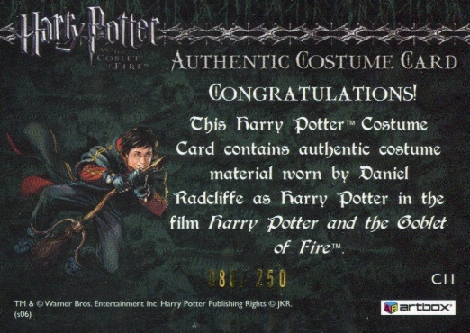 C11 - Harry Potter's Third Task Costume - Back