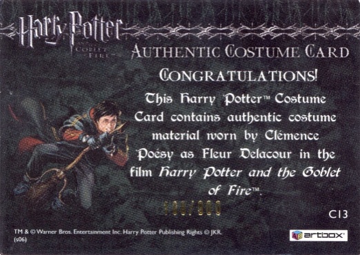 C13 - Fleur Delacour's Third Task Costume - Back