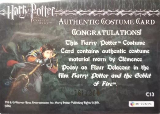 C13 - Fleur Delacour's Third Task Costume - Back