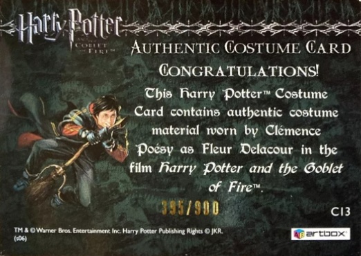 C13 - Fleur Delacour's Third Task Costume - Back