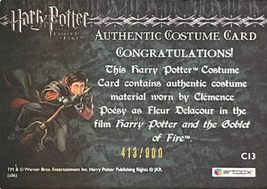 C13 - Fleur Delacour's Third Task Costume - Back