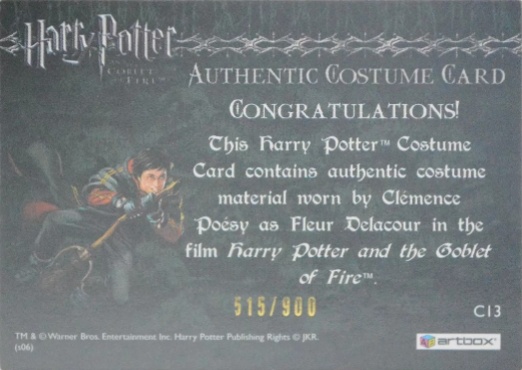 C13 - Fleur Delacour's Third Task Costume - Back