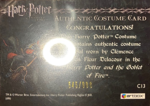 C13 - Fleur Delacour's Third Task Costume - Back