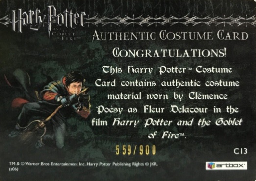 C13 - Fleur Delacour's Third Task Costume - Back