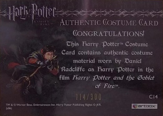 C14 - Harry Potter's Second Task Costume - Back