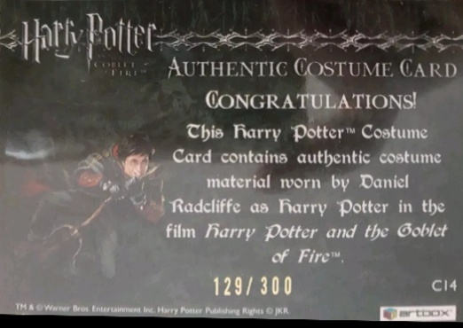 C14 - Harry Potter's Second Task Costume - Back