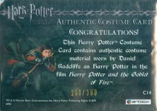 C14 - Harry Potter's Second Task Costume - Back