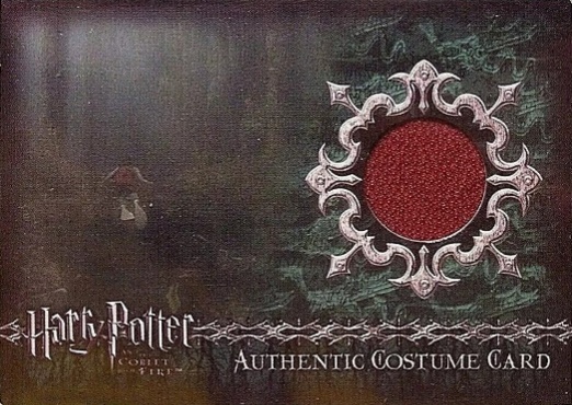 C14 - Harry Potter's Second Task Costume - Front