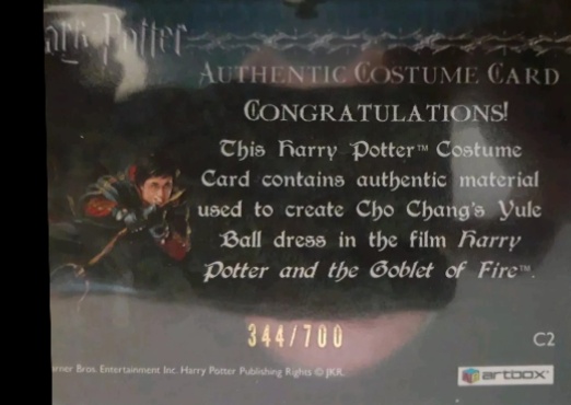 C2 - Cho Chang's Yule Ball Dress - Back