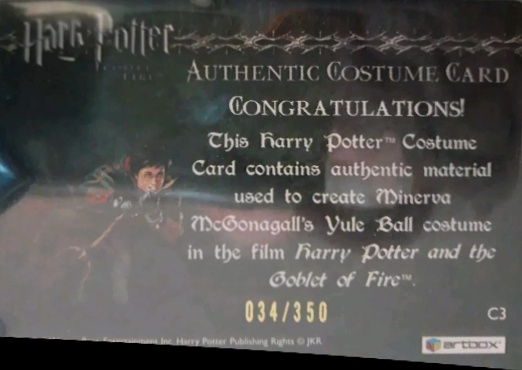 C3 - Minerva McGonagall's Yule Ball Robe - Back