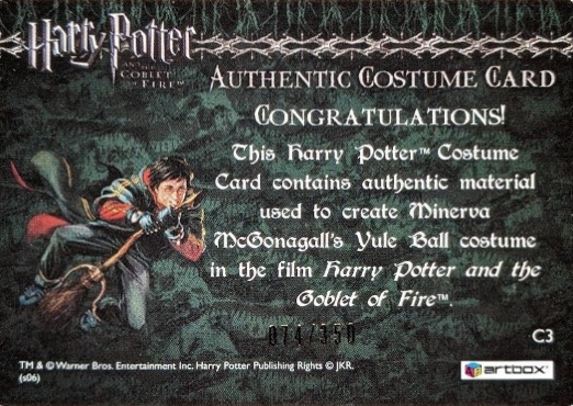 C3 - Minerva McGonagall's Yule Ball Robe - Back