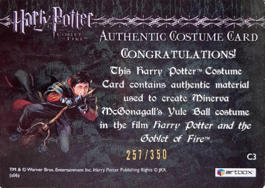 C3 - Minerva McGonagall's Yule Ball Robe - Back