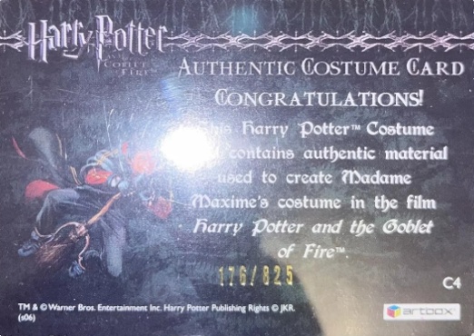 C4 - Madame Maxime's Yule Ball Dress - Back