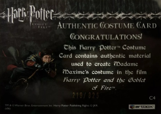 C4 - Madame Maxime's Yule Ball Dress - Back