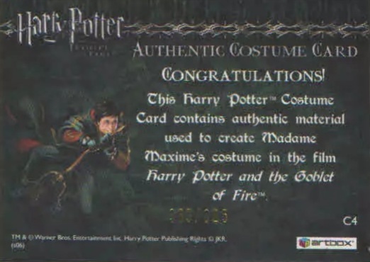 C4 - Madame Maxime's Yule Ball Dress - Back