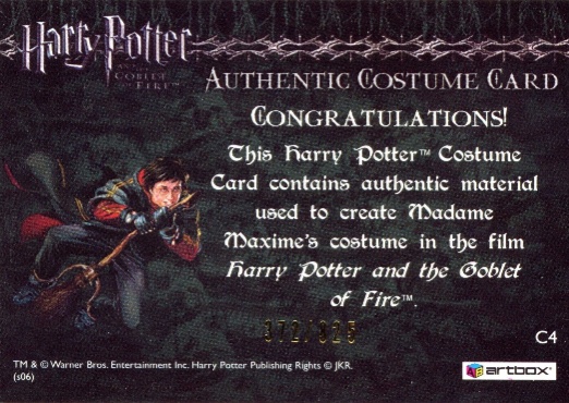 C4 - Madame Maxime's Yule Ball Dress - Back