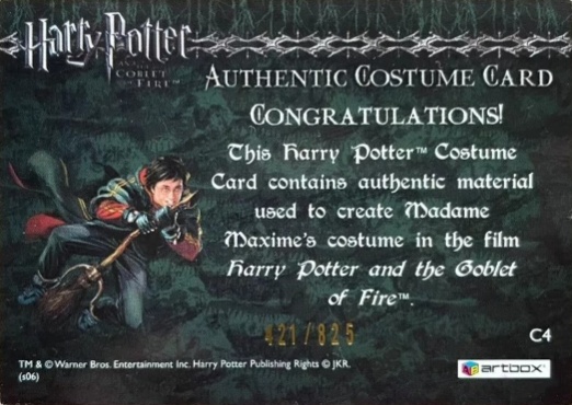 C4 - Madame Maxime's Yule Ball Dress - Back