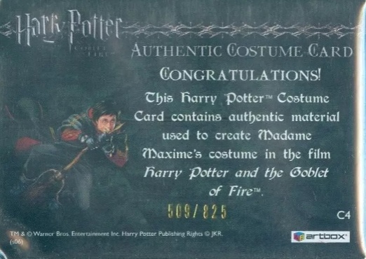 C4 - Madame Maxime's Yule Ball Dress - Back