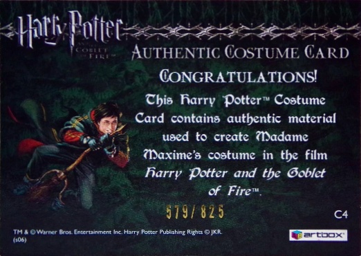 C4 - Madame Maxime's Yule Ball Dress - Back