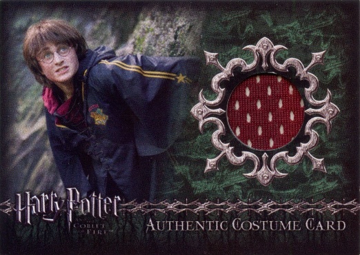 C5 -  Harry Potter's First Task Robe - Front