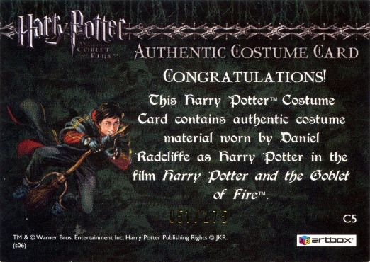 C5 -  Harry Potter's First Task Robe - Back