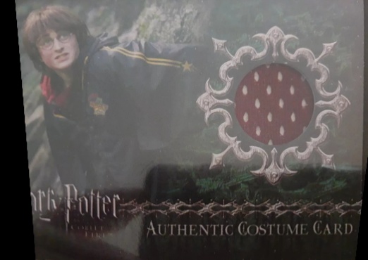 C5 -  Harry Potter's First Task Robe - Front