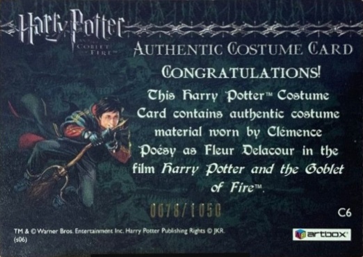 C6 - Fleur Delacour's Yule Ball Dress - Back