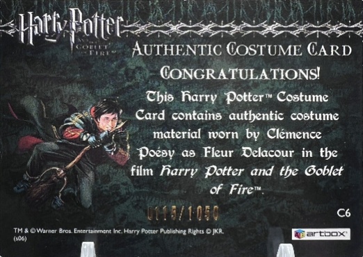 C6 - Fleur Delacour's Yule Ball Dress - Back