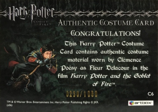 C6 - Fleur Delacour's Yule Ball Dress - Back