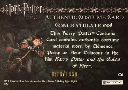 C6 - Fleur Delacour's Yule Ball Dress - Back