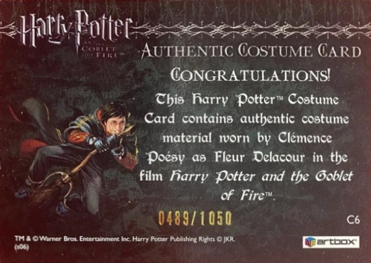 C6 - Fleur Delacour's Yule Ball Dress - Back